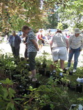 The raffle - Checking out the VRS plants